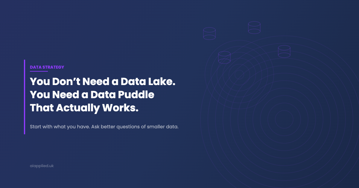You Dont Need a Data Lake - Data Puddle That Actually Works